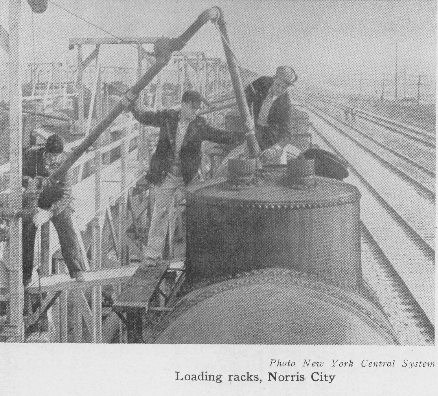 Norris City 7